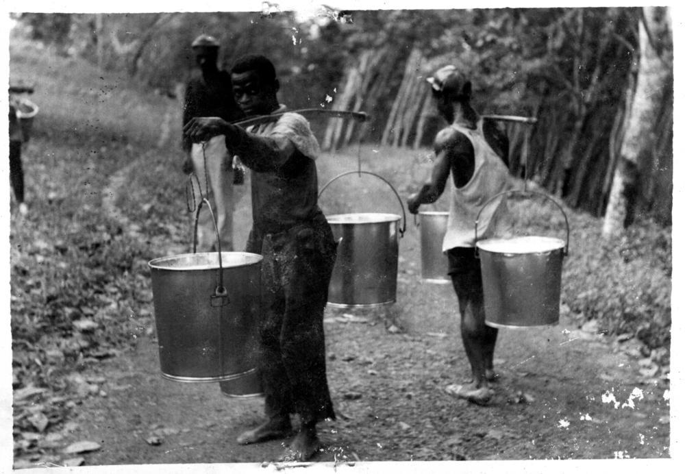 Tappers Carrying Buckets of Latex